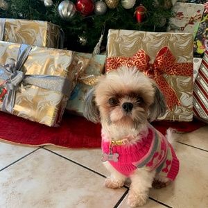 Meet your Posher, Rose